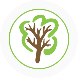 Robin Hood Academy logo